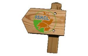 fshcl logo